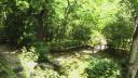 gekyoto1_pics/s20070816_122234.JPG