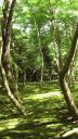 gekyoto1_pics/s20070816_134241.JPG